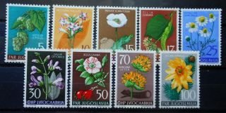 Yugoslavia - Flora I 1955 Mi: 765 - 773 Mnh