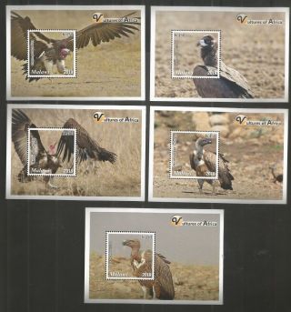 Malawi 2018 Vultures Of Africa Set Of Five Minisheets U/mm Nh Lot 1677b