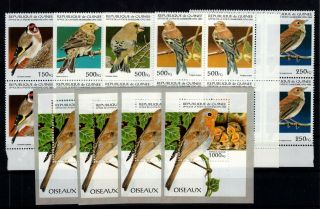 P111231/ GuinÉe Guinea - Birds - Lot 1995 Neuf / Mnh / Complete