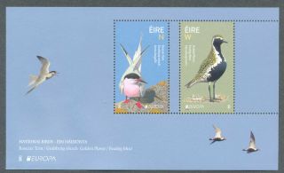 Ireland - Birds 2019 Min Sheet Europa/cept Mnh