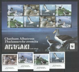 Y499 2016 Aitutaki Wwf Fauna Birds Chatham Albatross 1kb,  1set Mnh