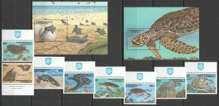 V1485 1993 Dominica Fauna Reptiles Turtles 1677 - 84 Michel 29 Euro 1set,  2bl Mnh