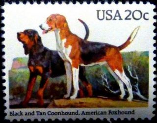 The Coonhound And The American Foxhound Fridge Magnet From A Vintage Us Stamp
