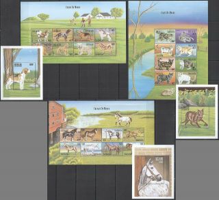 Z319 Central Africa Fauna Farm Animals Horses Pets Cats & Dogs 3kb,  3bl Mnh