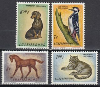 Luxembourg Pets Horse Bird Stamps Mnh