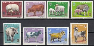 1979 Vietnam Farm Animals Imperf Stamps Mnh