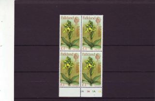 Falkland Isl - Sg245 Mnh 1968 £1 Flowers - Block Of 4 W/plate 1a