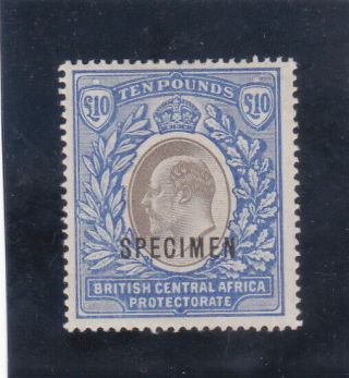 British Central Africa 1903 King Edward £10 Wmk Cc Opt Specimen F - Vf Og Mlh.