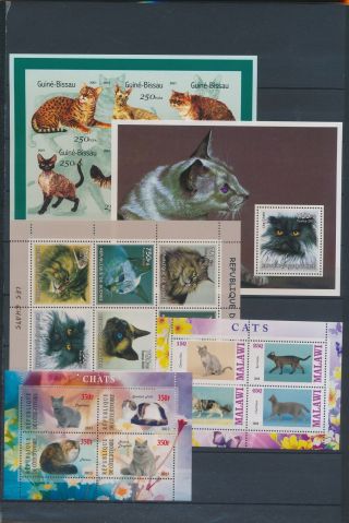 Ab0 - 2580 World Pets Animals Fauna Cats Good Sheets Mnh