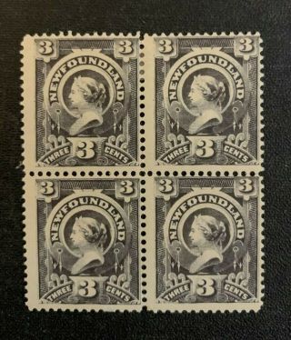 Newfoundland Stamp 60 Mh/mnh/gdis