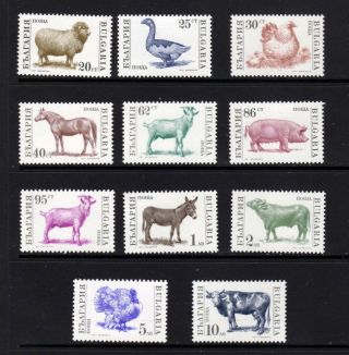 Bulgaria Scott ’s 3581 - 3591 Complete Set Of 11 Mnh Farm Animals