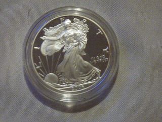2006 W Liberty Walking Silver Dollar Silver Proof?