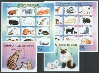 W382 Ghana Fauna Pets Cats Of The World 1982 - 07 Michel 42 Euro 2kb,  2bl Mnh
