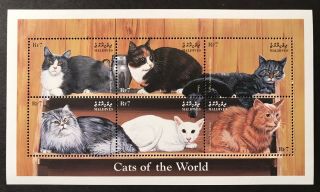 Maldives Cats Stamp Sheet 