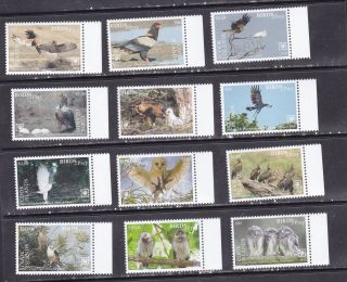 Cook Islands 2018 Birds Of Prey Owls Set Of 12v Mnh