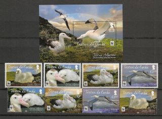 Tristan Da Cunha 2013 Wwf Wildlife Fauna Birds Vögel Oiseaux 2 Sets,  Ss Mnh