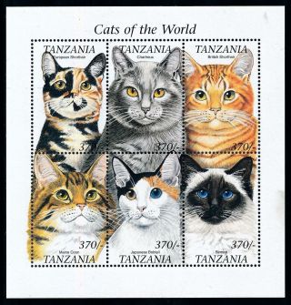 [78306] Tanzania 1999 Pets Cats Maine Coon Bobtail Shorthair Sheet Mnh