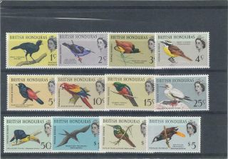 British Honduras 1962 Mnh Birds Set See