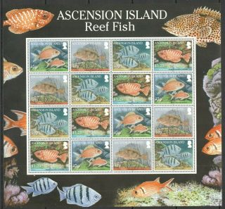 S945 2010 Ascension Island Marine Life Reef Fish 1229 - 32 Michel 48 Euro Sh Mnh