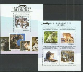 St708 2014 Guinea Animals Fauna Wild Cats Snow Leopards 1kb,  1bl Mnh Stamps
