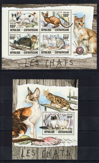 Central Africa - 2016 - Cats Postage Stamps Mnh B302