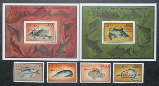 Ghana 1993 Fish Set & Mini Sheets Overprinted Red Cross Or Rotary International.