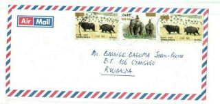 Zaire 1994 Inflation Cover $500nz Bukavu To Rwanda Elephant & Buffalo Stamps