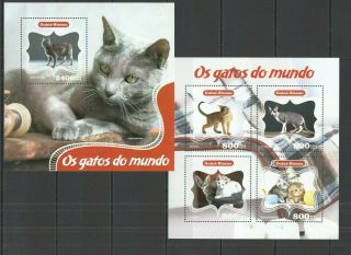 St1075 2014 Guinea - Bissau Pets Fauna Animals Cats Kb,  Bl Mnh Stamps