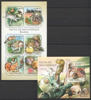 Mozambique 2011 Mnh Odd Shape Stamps,  Rodents,  Mouse,  Squirrel (d2n)