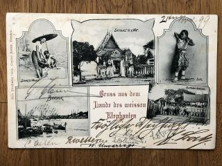 Thailand Old Postcard Siamese Woman Wat Elephant Bangkok To Austria 1899