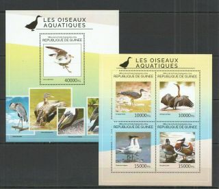 St703 2014 Guinea Fauna Water Birds Oiseaux Aquatiques Kb,  Bl Mnh Stamps