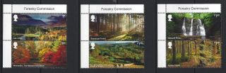 Great Britain 2019 Forests Set Of 6 Titles Pairs Unmounted,  Mnh