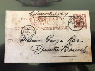 Mauritius Postcard,  1904 Express Oval Handstamp Local To Quatre Bornes