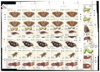 10x Cook Islands - Mnh - Butterflies - Bugs
