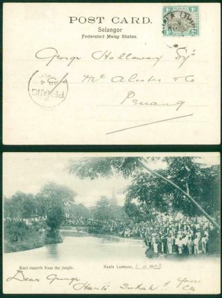 1903 Malaya - Postcard Kuala Lumpar Jungle Straits Penang (63 - 64)