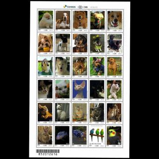 Pets - Dogs,  Cats,  Rabbit,  Fish,  Hen,  Parakeets,  Cockatiel - Brazil 2018 Upaep