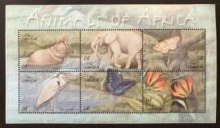 Gambia Animals Of Africa Stamp Sheet 2001 Mnh Butterfly Flowers Elephant Hippo