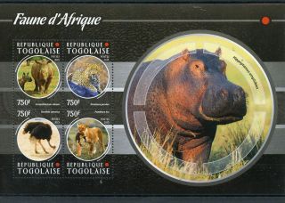 Togo 2015 Mnh African Fauna 4v M/s Rhinos Hippos Lions Leopards Birds Ostriches