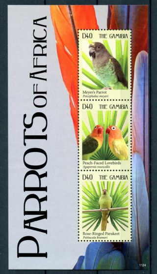 Gambia 2011 Mnh Parrots Of Africa 3v M/s Ii Birds Lovebirds Parakeets Stamps