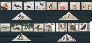 Fauna Birds Owls Parrots Penguins Congo 20 Mnh Stamps Set