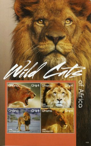 Ghana 2015 Mnh Wild Cats Of Africa 4v M/s Ii Wild Animals Fauna Lions