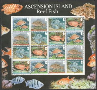 P529 2010 Ascension Island Marine Life Reef Fish 1229 - 32 Michel 48 Euro Sh Mnh