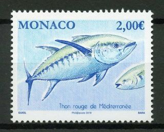 Monaco 2019 Mnh Atlantic Bluefin Tuna 1v Set Fish Fishes Marine Stamps