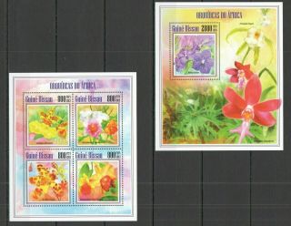 St1269 2013 Guinea - Bissau Flowers Orchids Of Africa Kb,  Bl Mnh Stamps