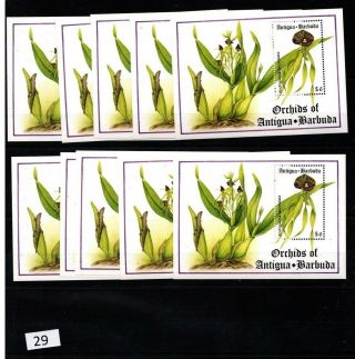 == 10x Antigua And Barbuda - Mnh - Flora,  Flowers,  Orchids -