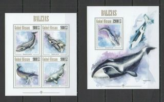 St1188 2013 Guinea - Bissau Whales Fauna Marine Life Kb,  Bl Mnh Stamps
