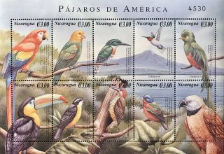 Nicaragua Birds Of America Stamp Sheet 2000 Mnh Birds Hummingbird Toucan Parrot
