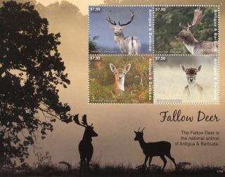 Antigua & Barbuda 2017 Mnh Fallow Deer 4v M/s Ii Wild Animals Stamps