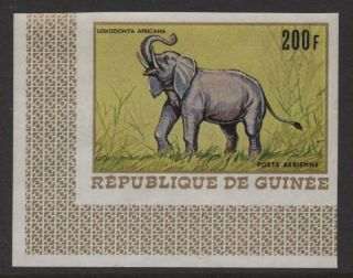 Guinea Republic 1968 Imperf African Animals Set Sc 512 - 18 Nh