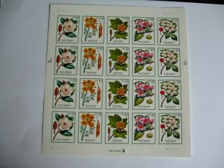 Usa Stamps Sheet Of Flowering Trees In.